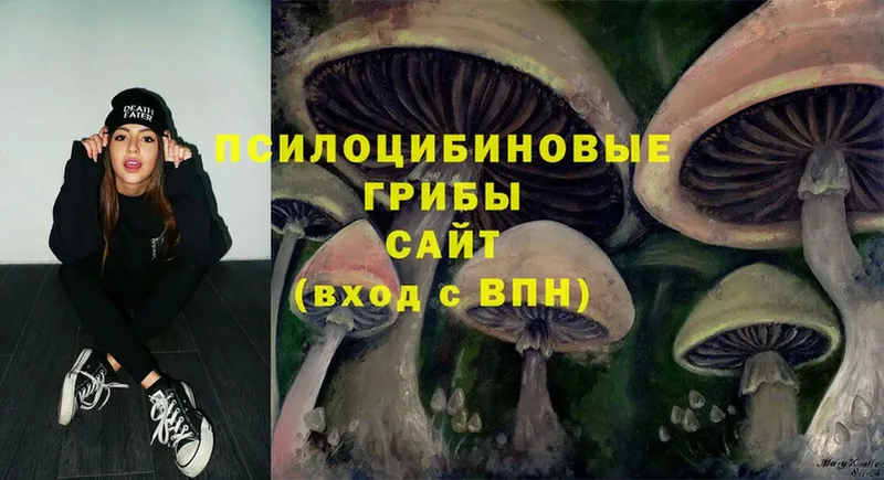 Галлюциногенные грибы Magic Shrooms  Буинск 